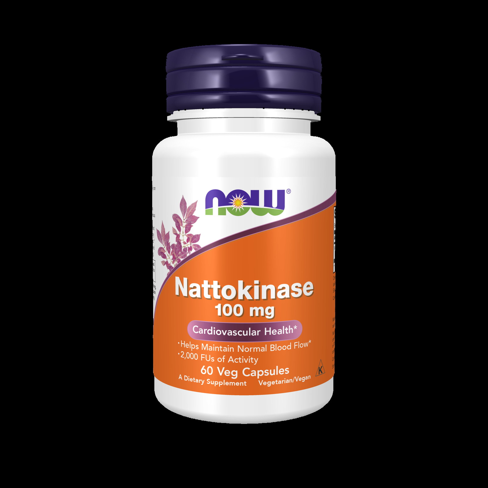 NOW Nattokinase 100 mg