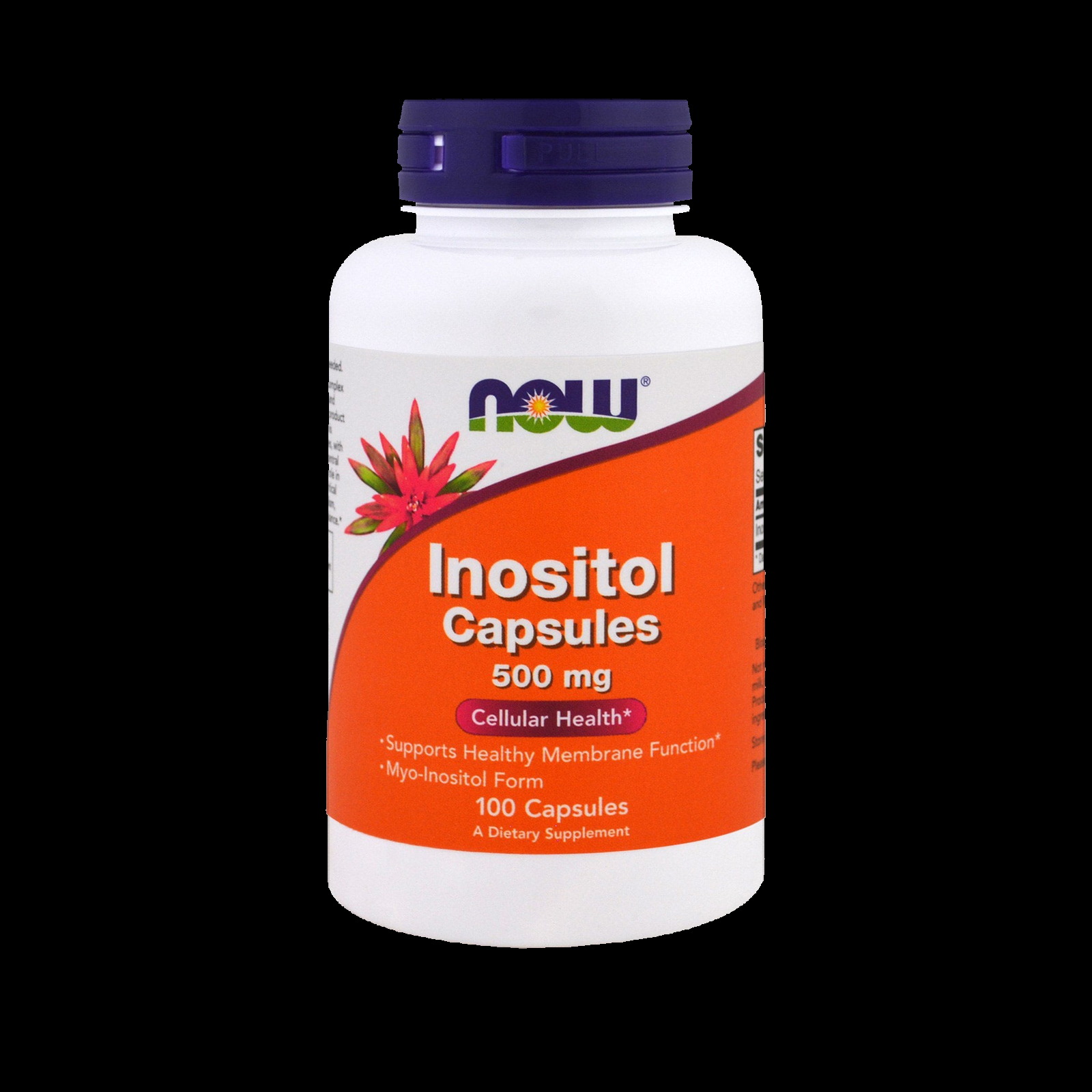 NOW Inositol 500 mg